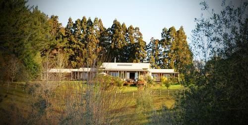 Puketotara Lodge كيريكيري المظهر الخارجي الصورة